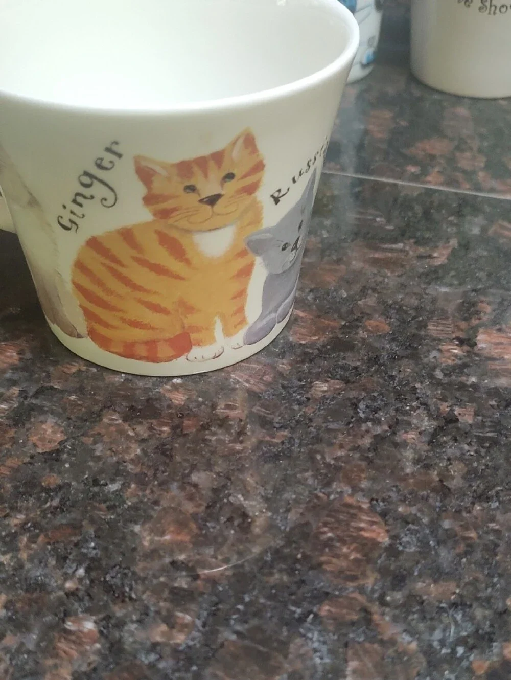 Meow Ceramic Cat Food Bowl - Black & White with Yellow Accent